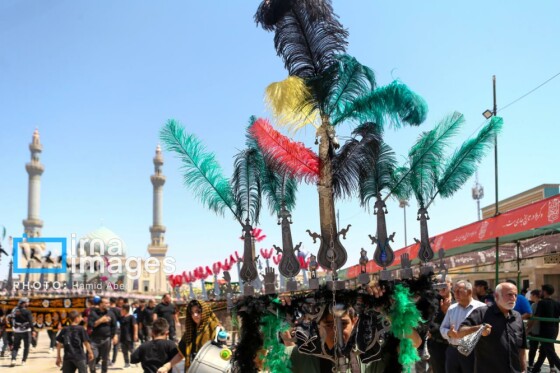 عزادارای ۲۸ صفر - حرم حضرت معصومه (س)