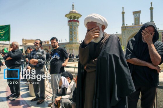 عزادارای ۲۸ صفر - حرم حضرت معصومه (س)