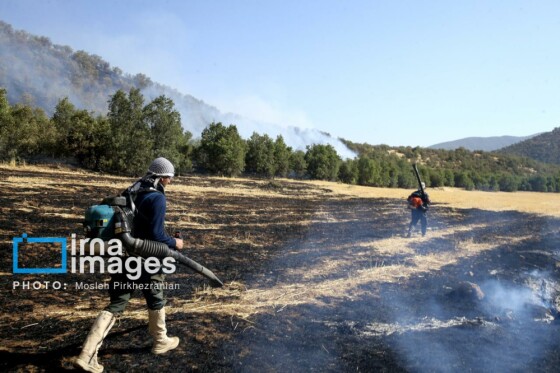 آتش سوزی جنگل های بلوط مریوان