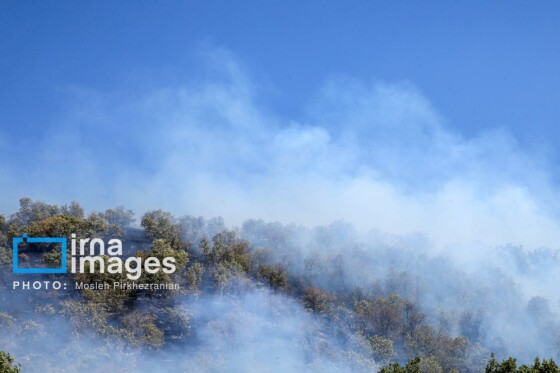 آتش سوزی جنگل های بلوط مریوان