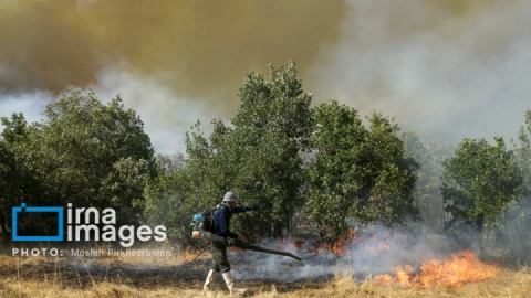 گزارش تصویری/ آتش سوزی جنگل های بلوط مریوان