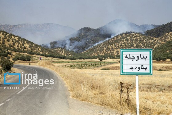 آتش سوزی جنگل های بلوط مریوان