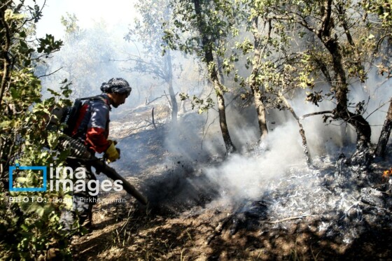 آتش سوزی جنگل های بلوط مریوان