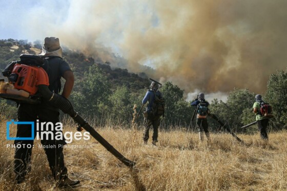 آتش سوزی جنگل های بلوط مریوان