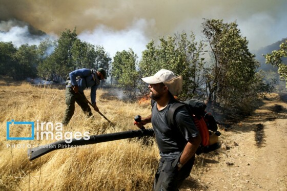 آتش سوزی جنگل های بلوط مریوان
