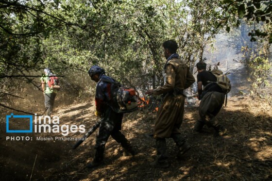 آتش سوزی جنگل های بلوط مریوان