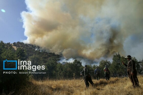 آتش سوزی جنگل های بلوط مریوان
