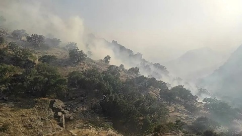 آتش‌سوزی در منطقه حفاظت شده گلیل شهرستان شیروان مهار شد