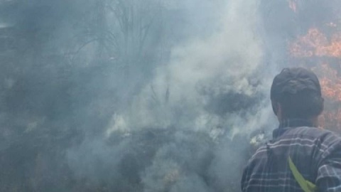 آتش در جان مراتع کهگیلویه/ ۳۰ هکتار طعمه حریق شد