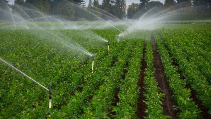 بهره‌برداری از ۳۷.۵ همت پروژه‌های بخش کشاورزی