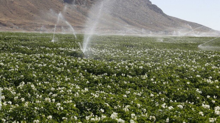 افتتاح ۹۸۹ طرح عمرانی آب و خاک کشاورزی در هفته دولت/ ایجاد ٣۵ هزار شغل