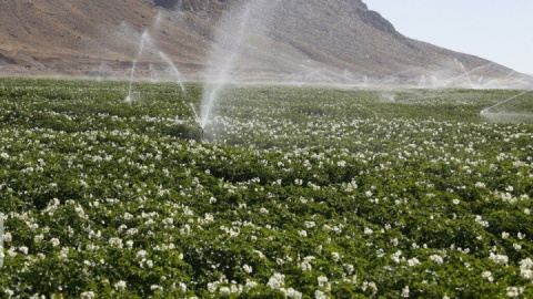 افتتاح ۹۸۹ طرح عمرانی آب و خاک کشاورزی در هفته دولت/ ایجاد ٣۵ هزار شغل