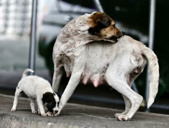 مانیل، فیلیپین