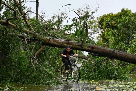 استان نِگه آن، ویتنام