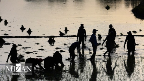 گزارش تصویری/ صبحانه هشتم شهریور