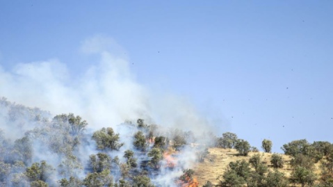 آتشسوزی «سیهچل» ایلام مهار شد