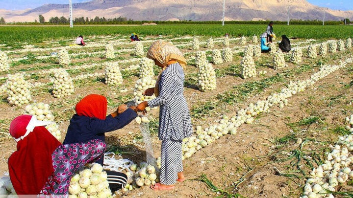 ۳۷۱ هزار مادر روستایی دارای سه‌فرزند بیمه تامین اجتماعی رایگان دارند