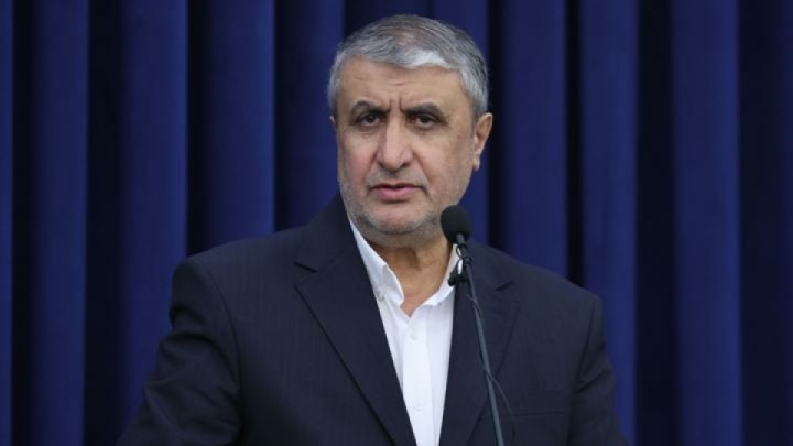 ۲ بازرس آژانس با مجوز دبیرخانه شورای عالی امنیت ملی به ایران سفر کردند