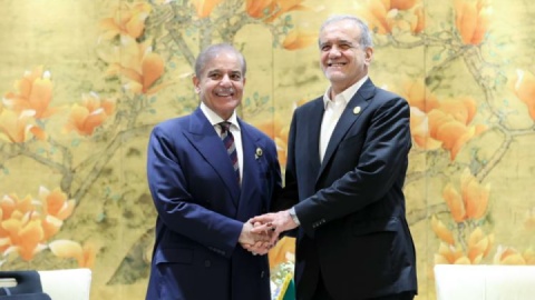 گزارش تصویری/ دیدار نخست وزیر پاکستان با رئیس جمهور