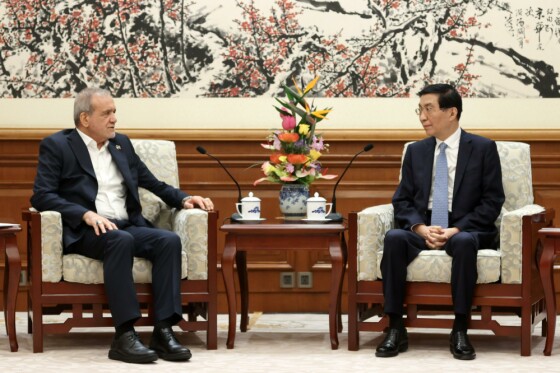 دیدار با عضو کمیته دائمی دفتر سیاسی کنگره ملی خلق چین