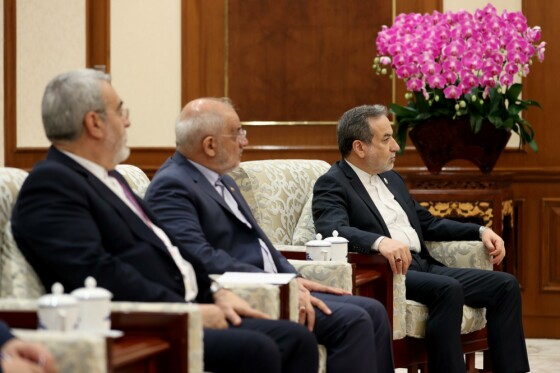 دیدار با عضو کمیته دائمی دفتر سیاسی کنگره ملی خلق چین