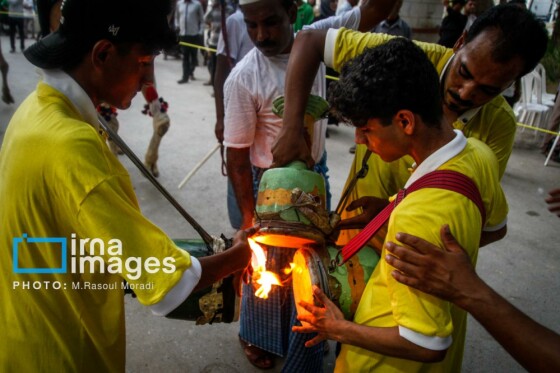 جشنواره شکرگزاری «انبه و یاسمین‌گُل»