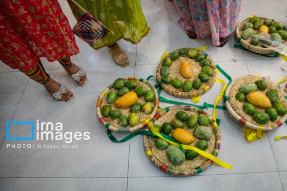 جشنواره شکرگزاری «انبه و یاسمین‌گُل»