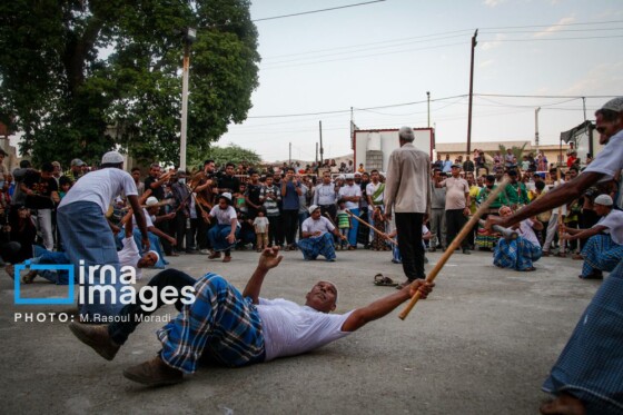 جشنواره شکرگزاری «انبه و یاسمینگُل»