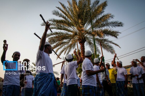 جشنواره شکرگزاری «انبه و یاسمینگُل»