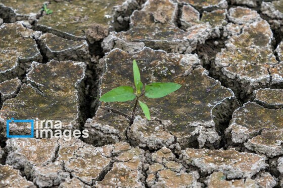 دریاچه الندان در آستانه خشک شدن کامل