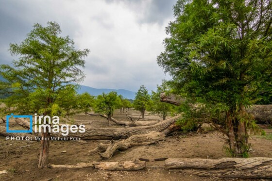دریاچه الندان در آستانه خشک شدن کامل