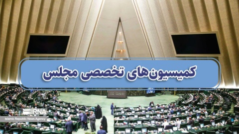 بررسی مسایل مختلف اقتصادی، سیاسی و امنیتی کشور در کمیسیون‌های مجلس