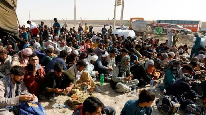 سفر هیات ۵ نفره از افغانستان به ایران برای رفع مشکلات هویتی مهاجران افغان