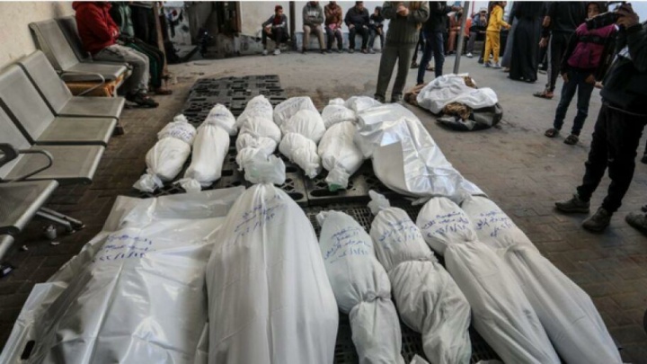 شمار شهدای غزه از ۶۴ هزار نفر گذشت؛ قحطی و حملات بی‌وقفه جان هزاران نفر را گرفته است