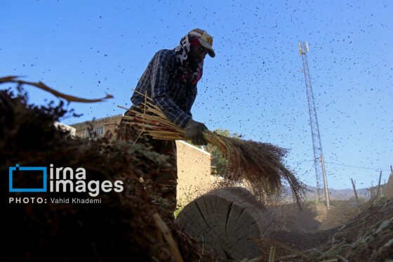 جارو بافی؛ هنری کهن در عصر مدرن