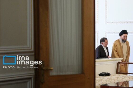 دیدار «سید عمار حکیم» با وزیر امور خارجه