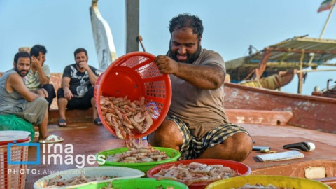 گزارش تصویری/ عصرانه شانزدهم شهریور