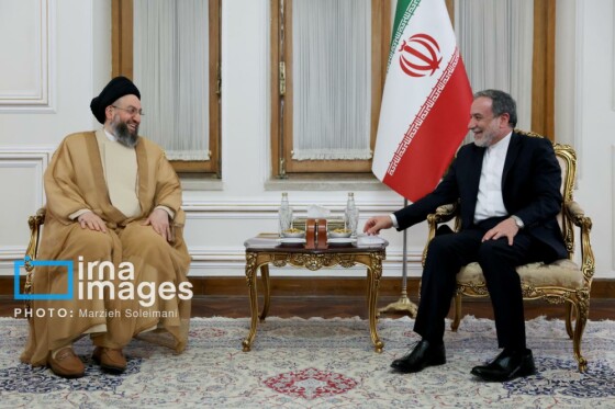 دیدار «سید عمار حکیم» با وزیر امور خارجه