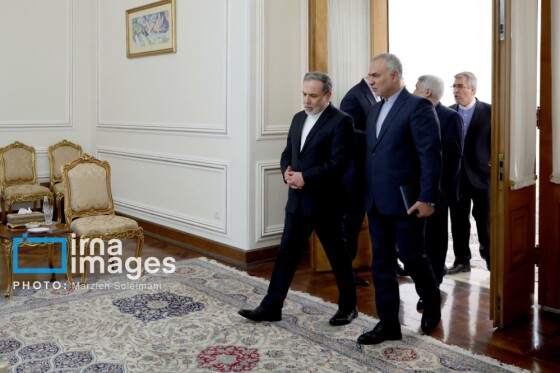 دیدار «سید عمار حکیم» با وزیر امور خارجه