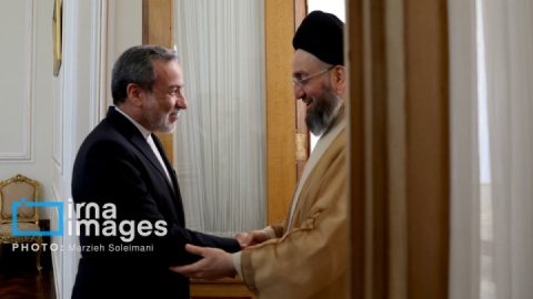 گزارش تصویری/ دیدار «سید عمار حکیم» با وزیر امور خارجه