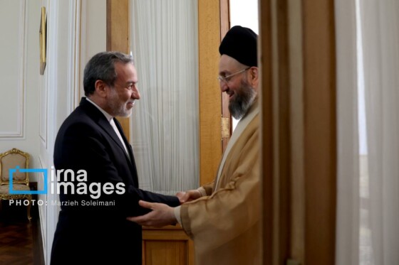 دیدار «سید عمار حکیم» با وزیر امور خارجه