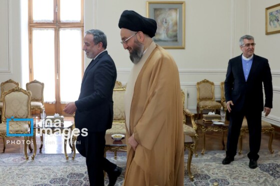 دیدار «سید عمار حکیم» با وزیر امور خارجه