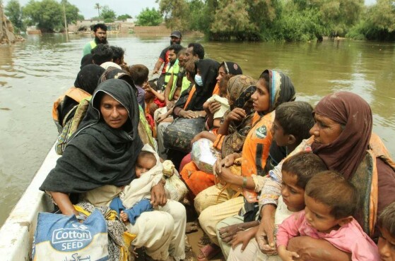 جلال‌پور پیروالا، پاکستان