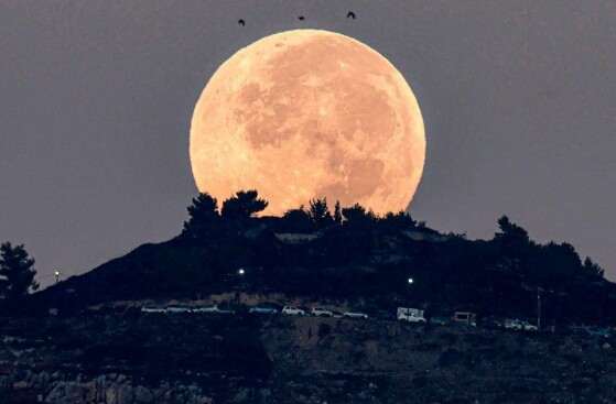 نابلس، کرانه باختری