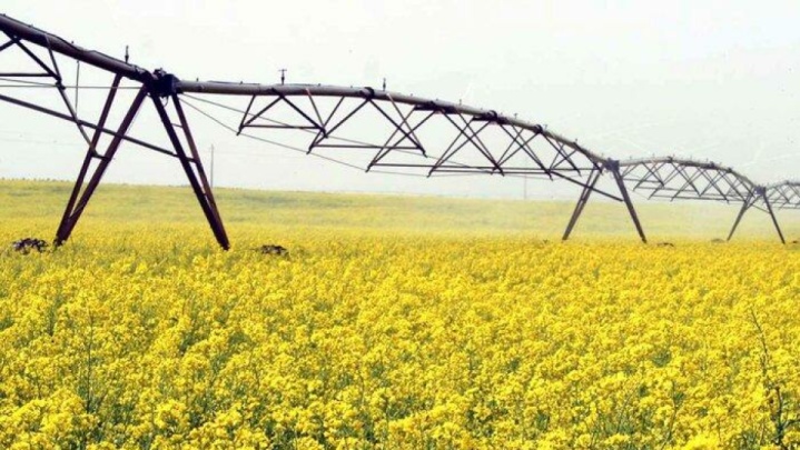 ۷۸۰۰ هکتار از شبکه آبیاری پایاب سد خداآفرین در سفر رئیس‌جمهور به اردبیل افتتاح شد