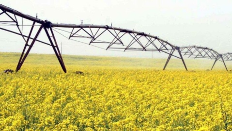 ۷۸۰۰ هکتار از شبکه آبیاری پایاب سد خداآفرین در سفر رئیس‌جمهور به اردبیل افتتاح شد