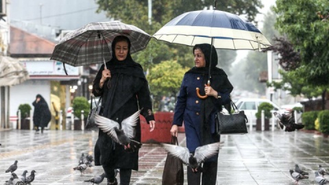 بارندگی، رعد و برق و وزش باد شدید در نوار شمالی کشور