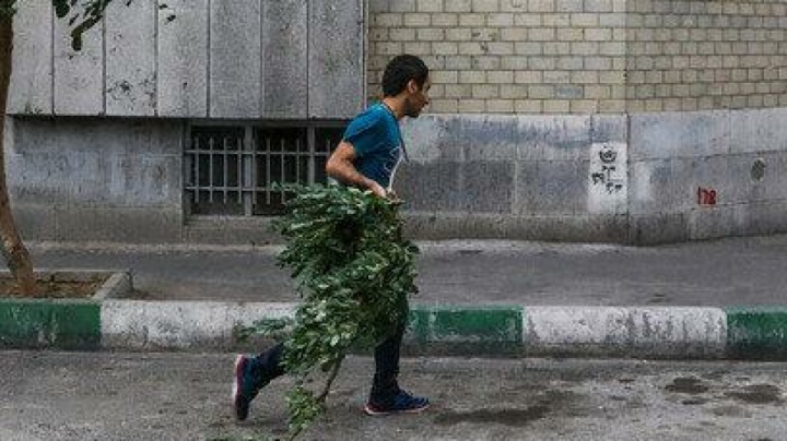 وزش باد شدید و گرد و خاک در پایتخت