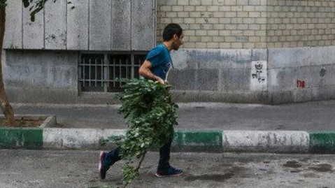 وزش باد شدید و گرد و خاک در پایتخت