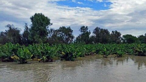 احتمال وقوع سیلاب در گیلان و مازندران